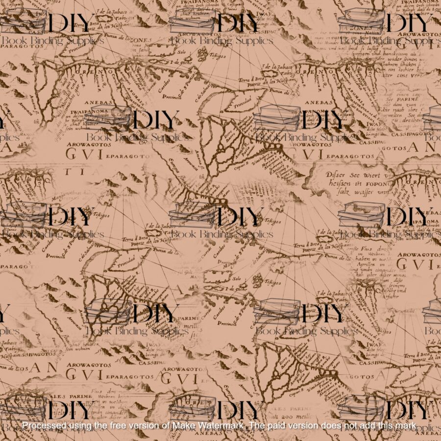 Maps - Image 2